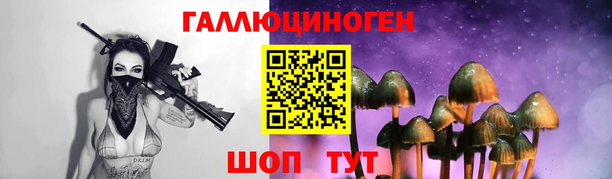 Псилоцибиновые грибы GOLDEN TEACHER  Галлюциногенные грибы GOLDEN TEACHER  Красноуфимск  Вход с VPN 